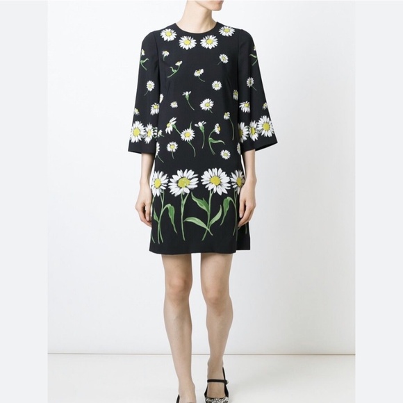 Nwot dolce&gabanna daisy print dress